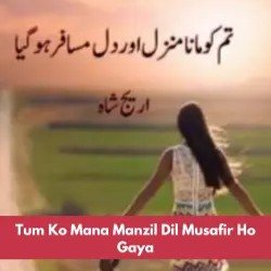 Tum Ko Mana Manzil Dil Musafir Ho Gaya Novel PDF Download & Read Online