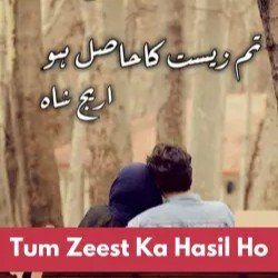 Tum Zeest Ka Hasil Ho Novel By Areej Shah PDF Download & Read Online